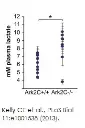 abcam L-Lactate Assay Kit (Colorimetric)