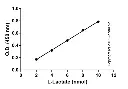 abcam L-Lactate Assay Kit (Colorimetric)