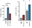 abcam L-Lactate Assay Kit (Colorimetric)