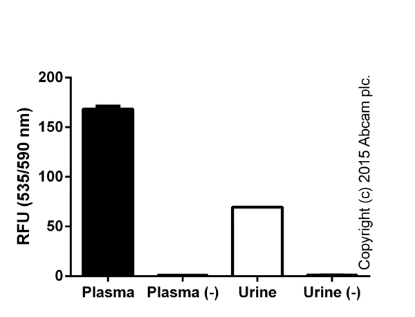 abcam L-Lactate Assay Kit (Colorimetric/Fluorometric)