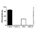 abcam L-Lactate Assay Kit (Colorimetric/Fluorometric)