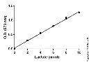 abcam L-Lactate Assay Kit (Colorimetric/Fluorometric)