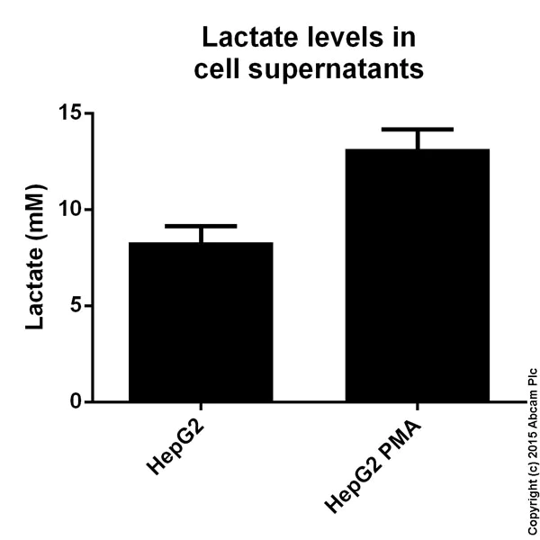 abcam L-Lactate Assay Kit (Colorimetric/Fluorometric)