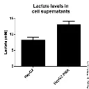 abcam L-Lactate Assay Kit (Colorimetric/Fluorometric)