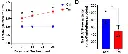 abcam L-Lactate Assay Kit (Colorimetric/Fluorometric)