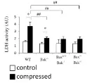abcam LDH Assay Kit / Lactate Dehydrogenase Assay Kit (Colorimetric)