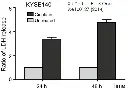 abcam LDH Assay Kit / Lactate Dehydrogenase Assay Kit (Colorimetric)