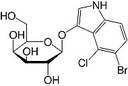 SERVA 5-Bromo-4-chloro-3-indolyl-β-D-galactoside (X-Gal) 1G