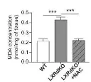 abcam Lipid Peroxidation (MDA) Assay Kit (Colorimetric/Fluorometric)