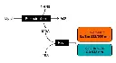 abcam Lipid Peroxidation (MDA) Assay Kit (Colorimetric/Fluorometric)
