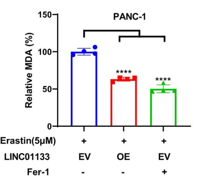 abcam Lipid Peroxidation (MDA) Assay Kit (Colorimetric/Fluorometric)
