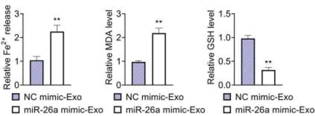 abcam Lipid Peroxidation (MDA) Assay Kit (Colorimetric/Fluorometric)