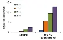 abcam Lipolysis Assay Kit (Colorimetric)