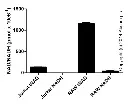 abcam NAD/NADH Assay Kit (Colorimetric)
