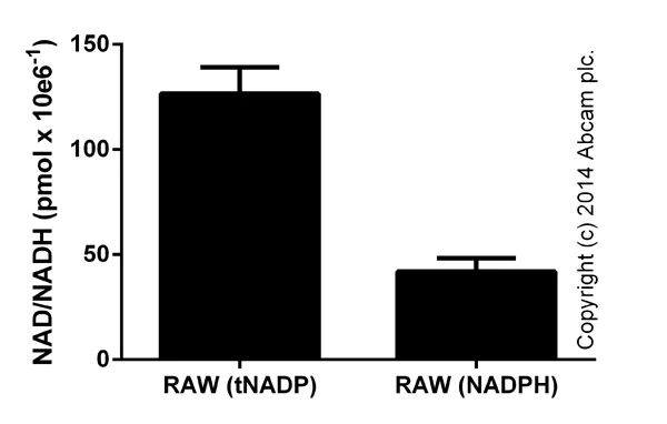 abcam NADP/NADPH Assay Kit