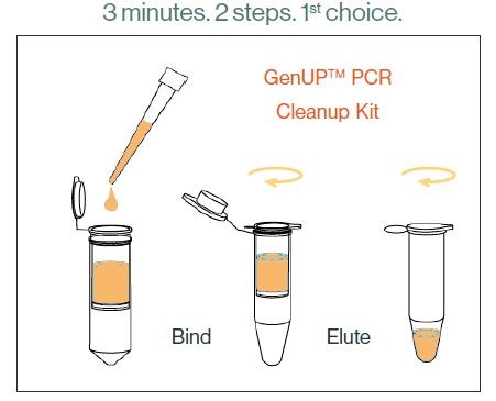 biotechrabbit GenUP™ PCR Cleanup Kit