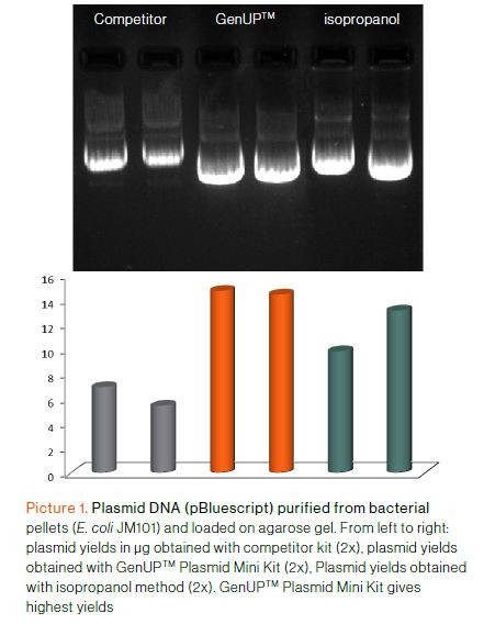 biotechrabbit GenUP™ PCR Cleanup Kit