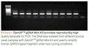 biotechrabbit GenUP™ PCR Cleanup Kit