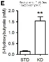 abcam beta Hydroxybutyrate (beta HB) Assay Kit (Colorimetric)
