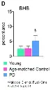 abcam beta Hydroxybutyrate (beta HB) Assay Kit (Colorimetric)