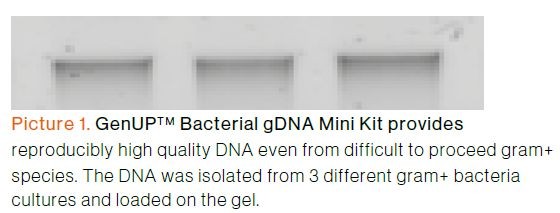 biotechrabbit GenUP™ PCR Cleanup Kit