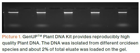 biotechrabbit GenUP™ PCR Cleanup Kit