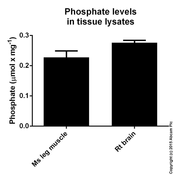 abcam Phosphate Assay Kit (Colorimetric)