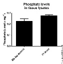 abcam Phosphate Assay Kit (Colorimetric)