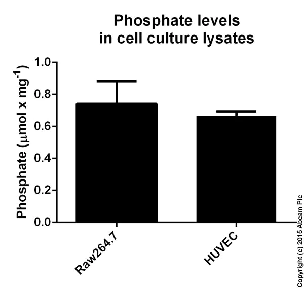 abcam Phosphate Assay Kit (Colorimetric)