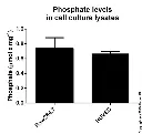 abcam Phosphate Assay Kit (Colorimetric)