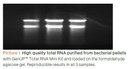 biotechrabbit GenUP™ PCR Cleanup Kit