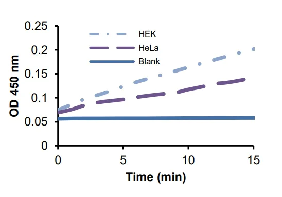 abcam Phosphoglycerate Dehydrogenase (PHGDH) Activity Assay Kit (Colorimetric)