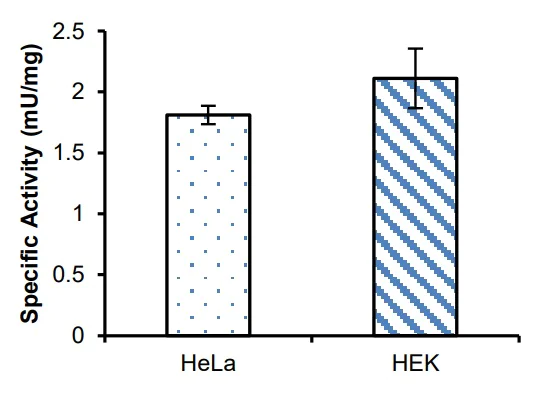abcam Phosphoglycerate Dehydrogenase (PHGDH) Activity Assay Kit (Colorimetric)