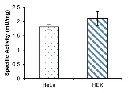 abcam Phosphoglycerate Dehydrogenase (PHGDH) Activity Assay Kit (Colorimetric)