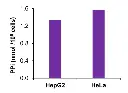abcam Pyrophosphate Assay Kit (Colorimetric / Fluorometric)