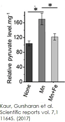 abcam Pyruvate Assay Kit