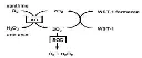 abcam Superoxide Dismutase Activity Assay Kit (Colorimetric)