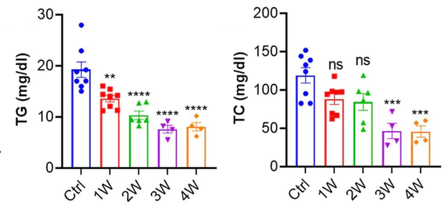 abcam Triglyceride Assay Kit - Quantification