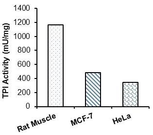abcam Triose Phosphate Isomerase (TPI) Activity Assay Kit (Colorimetric)