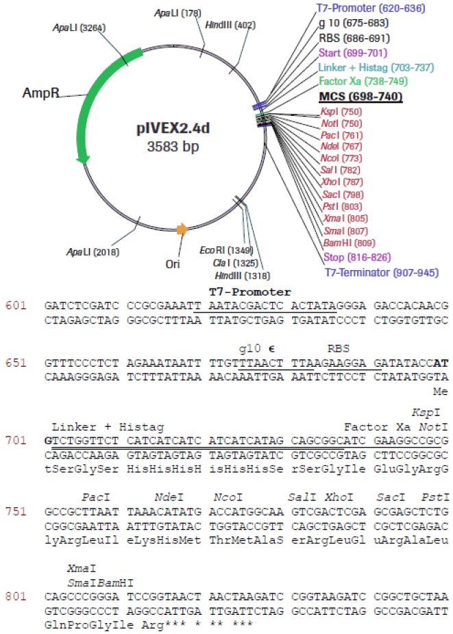 biotechrabbit RTS pIVEX E. coli His-tag, 2nd Gen. Vector Set