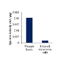 abcam Tyrosinase Activity Assay Kit (Colorimetric)