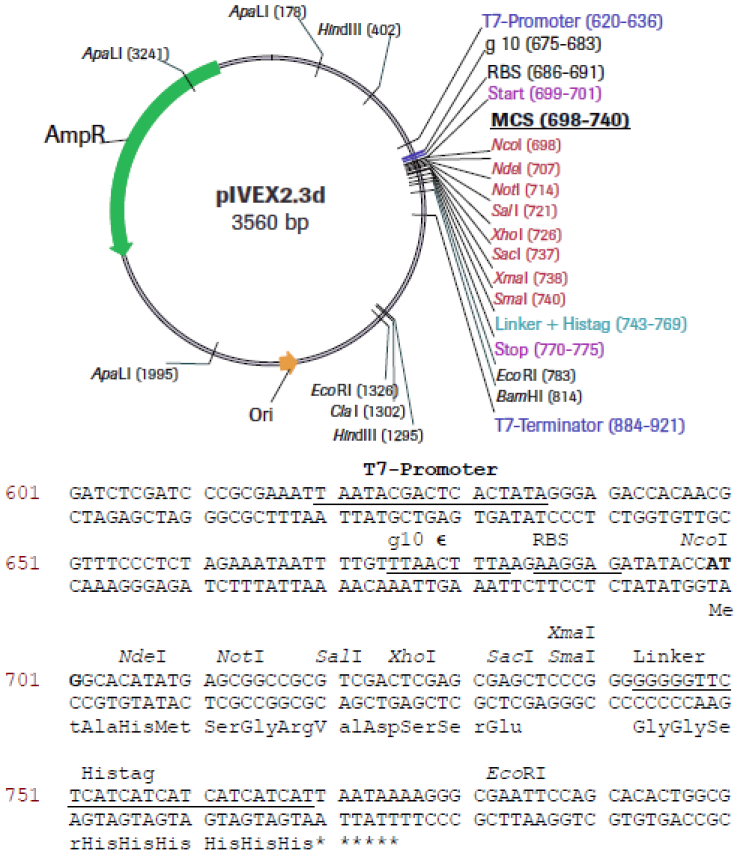 biotechrabbit RTS pIVEX E. coli His-tag, 2nd Gen. Vector Set