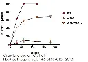 abcam Zinc Assay Kit