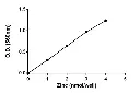 abcam Zinc Assay Kit