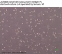 NIBN NIH/3T3 clone 5611