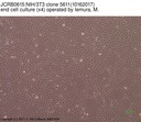 NIBN NIH/3T3 clone 5611