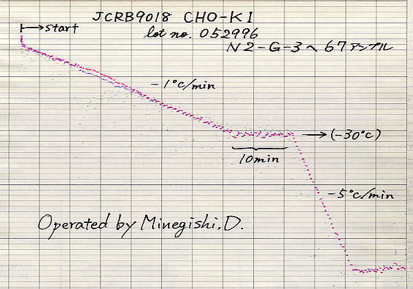 NIBN CHO-K1, Chinese hamster ovary 