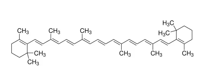 Merck 