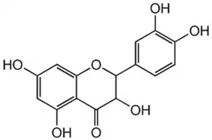 Merck α-Amylase from porcine pancreas (สำเนา)