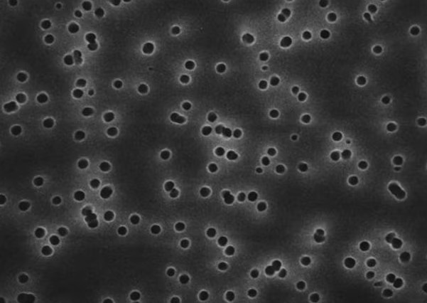 Merck Polycarbonate Membrane Filter, 0.4 μm Pore Size